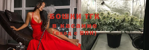 шишки Володарск