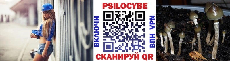 Галлюциногенные грибы Psilocybe  закладки  Тюмень 